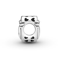 Charm Pandora Donna Pandora Passions in Argento 799367C00 - 799367C00